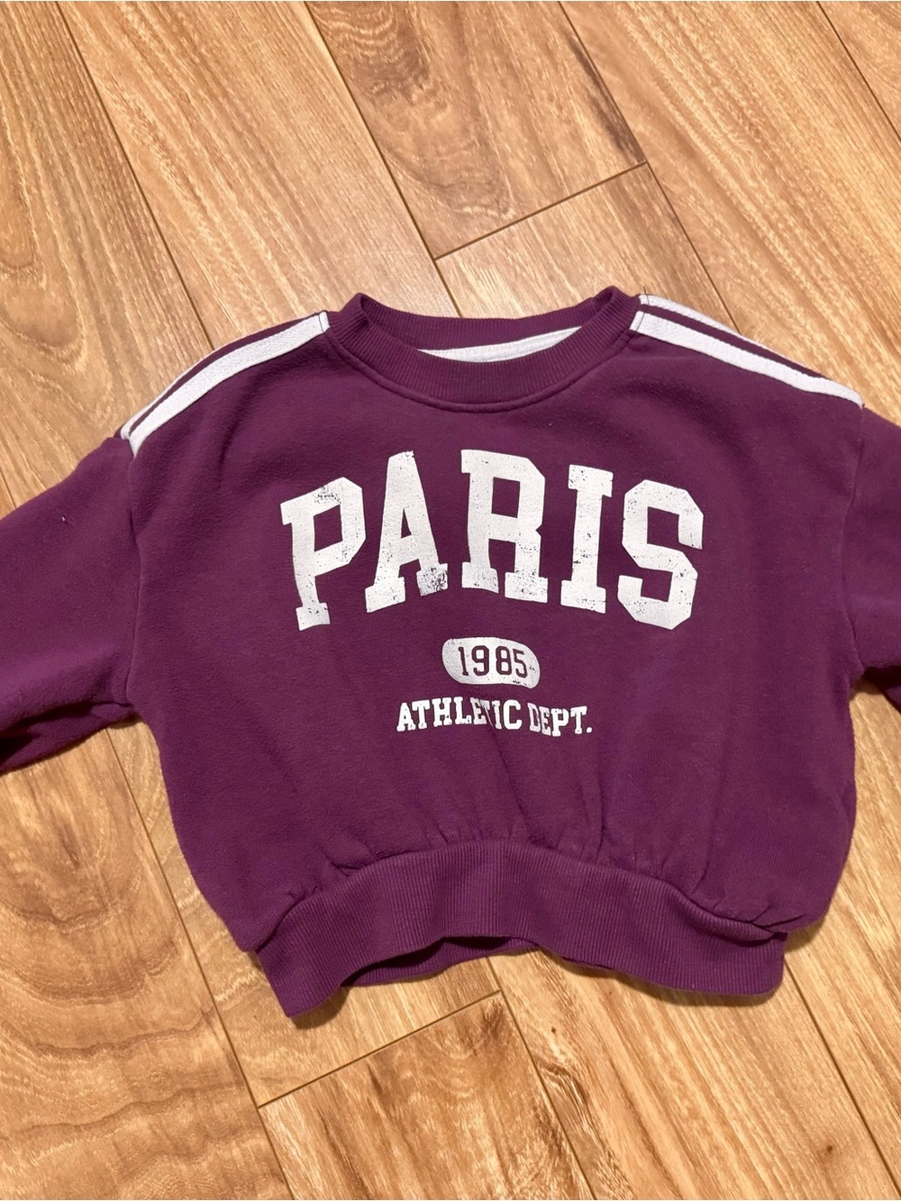 Toddler 4T Grayson Mini Paris Sweatshirt Purple Plum Paris
